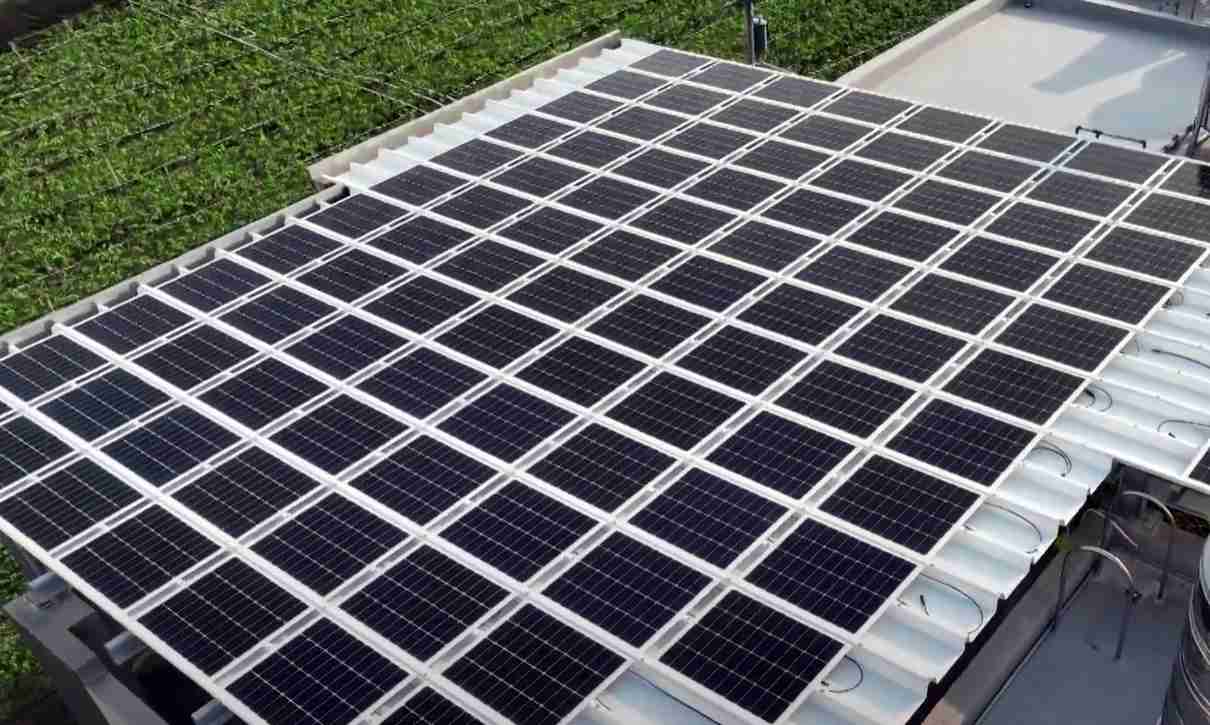 开云电子SunSteel光电浪板升级双玻结构，，，以提升机械负载强度及气候耐候度，，，可广泛运用于多元场域